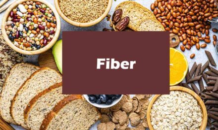 Fiber Fundamentals: Unraveling the Importance of Fiber in Your Diet