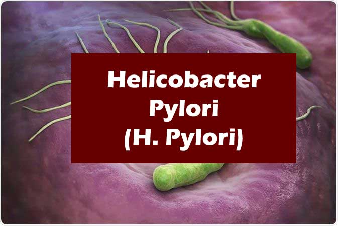 Helicobacter Pylori