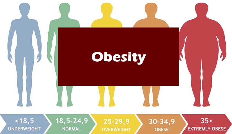 What causes Obesity?