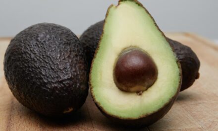 Top Health Benefits of Avocados