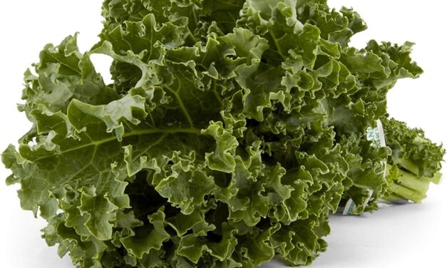 Frequently Asked Questions about Kale