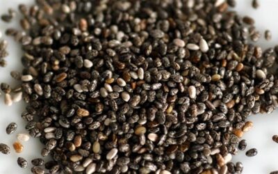 How Chia Seeds Support Health